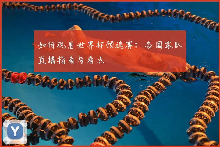 如何观看世界杯预选赛:各国家队直播指南与看点