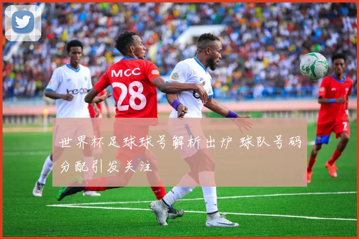 世界杯足球球号解析出炉 球队号码分配引发关注