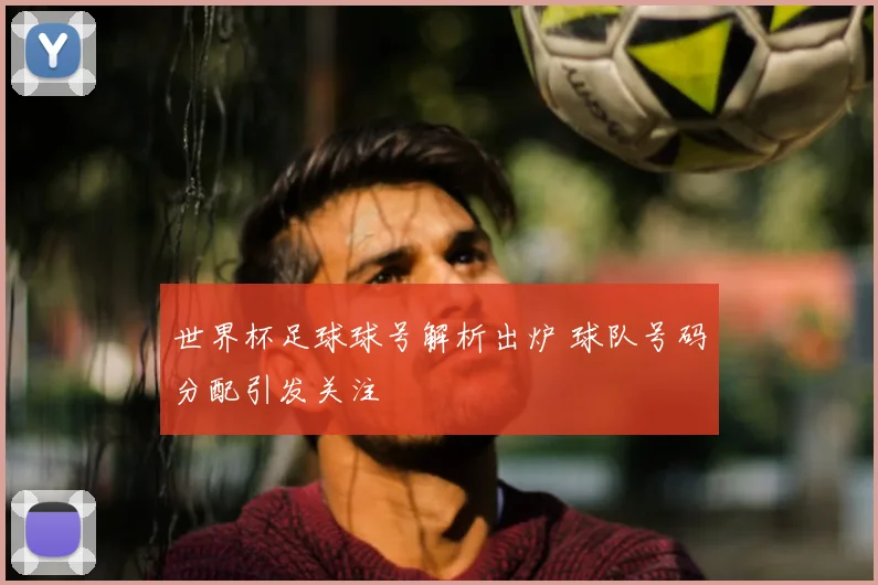 世界杯足球球号解析出炉 球队号码分配引发关注