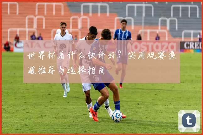 世界杯看什么软件好?实用观赛渠道推荐与选择指南