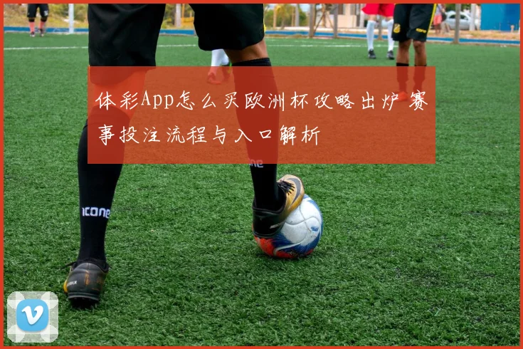 体彩App怎么买欧洲杯攻略出炉 赛事投注流程与入口解析