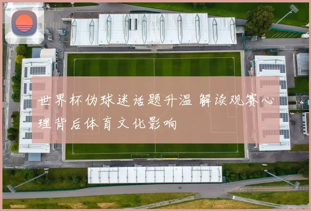 世界杯伪球迷话题升温 解读观赛心理背后体育文化影响