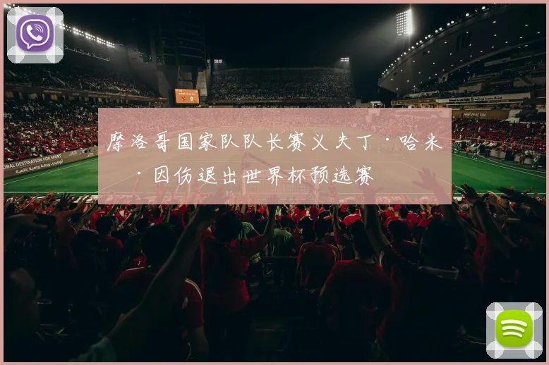 摩洛哥国家队队长赛义夫丁·哈米德因伤退出世界杯预选赛